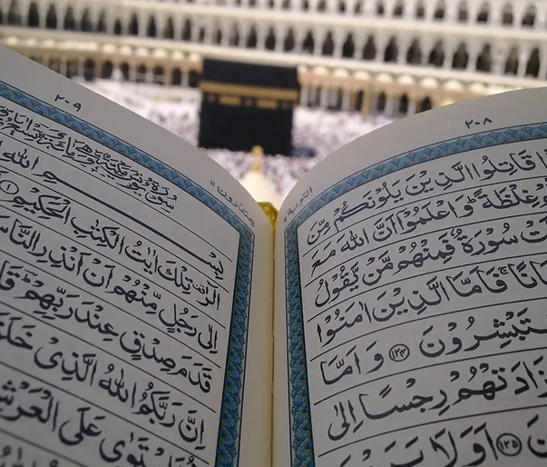 Hajj Packages 2024 Shifting & NonShifting Hajj Deals From USA